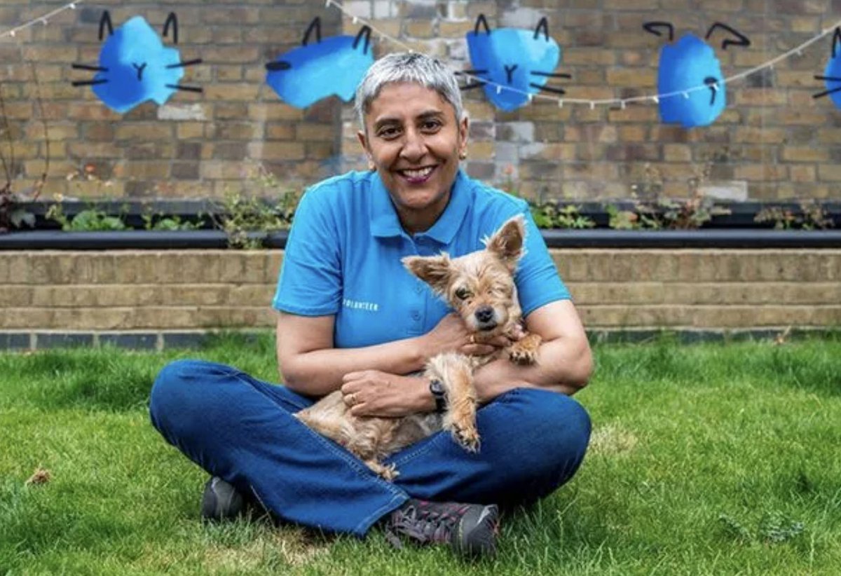 PeoplesPetAward's tweet photo. It's #PetRemembranceDay tomorrow, so in our latest #PetClub, we are remembering Yorkie Jack Russell cross, Honey, the Battersea pooch. 🐶

She was a 14 year old diva dog and lit up the screens of our televisions during ad breaks. 💜  

https://t.co/okPV8qPChH

@WebboxPetFood https://t.co/j7gfdDuuvB