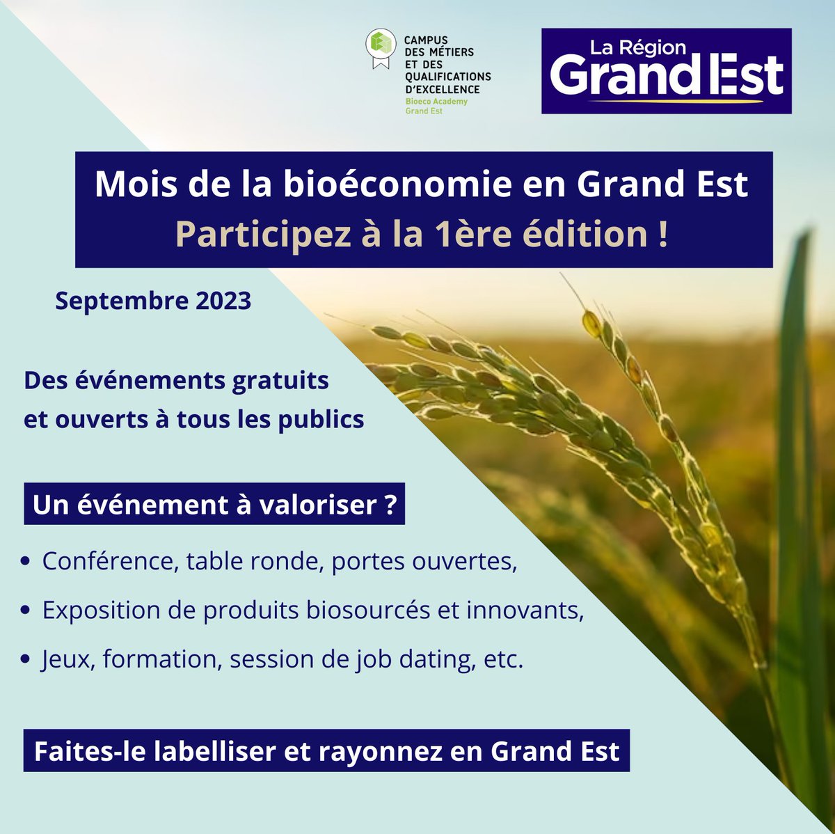 💡APPEL A IDEES
🌱Acteurs de la bioéconomie (agriculture, viticulture, forêt, alimentation, nouvelles valorisations)
🌍Participez à la 1ère édition du Mois de la bioéconomie en Grand Est !
📩Inscrivez un événement : grandest.fr/participez-au-…
#MoisBioecoGrandEst #MBGE <a href="/RA_GrandEst/">Région académique Grand Est</a>