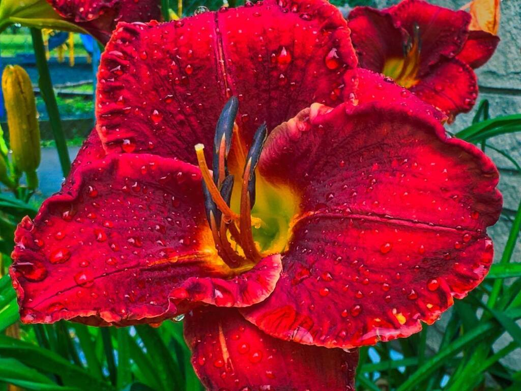 Happy 4th of July instagr.am/p/CuRge-MOfub/