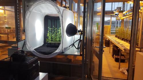 Life Sciences (@warwicklifesci) on Twitter photo PRESS RELEASE: Helping plants and bacteria work together reduces fertiliser need. New paper in Microbiome from <a href="/giffordlab/">Gifford Lab</a> and @Pschaeferlab. First authors - @BeatrizLagunas, <a href="/LukeZRich/">Luke Richards</a>
and <a href="/ChrysaSergaki/">Chrysi Sergaki</a>
bit.ly/46sYwF3 PRESS RELEASE: Helping plants and bacteria work together reduces fertiliser need. New paper in Microbiome from <a href="/giffordlab/">Gifford Lab</a> and @Pschaeferlab. First authors - @BeatrizLagunas, <a href="/LukeZRich/">Luke Richards</a>
and <a href="/ChrysaSergaki/">Chrysi Sergaki</a>
bit.ly/46sYwF3