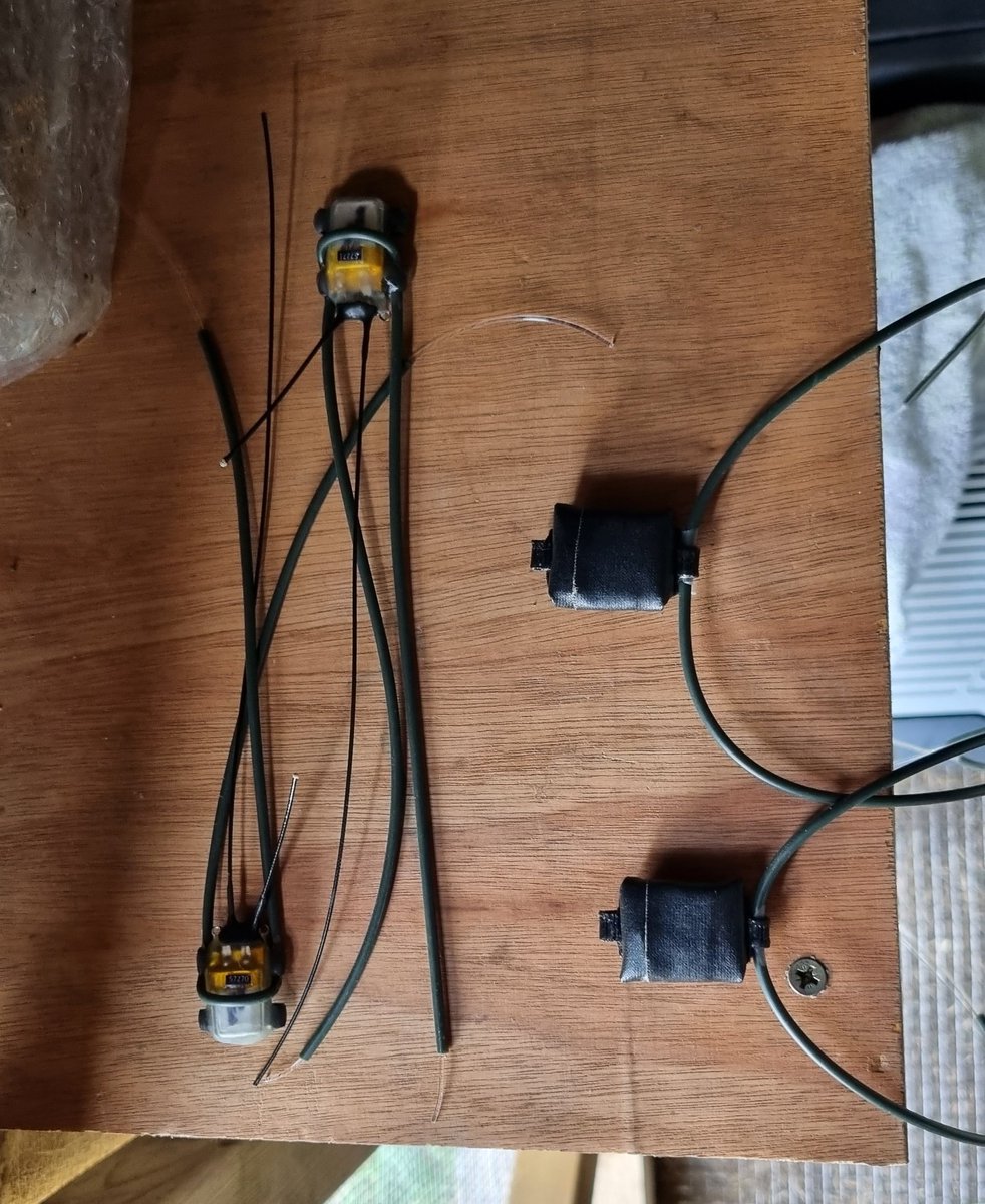 JessBStevens's tweet photo. First round of tagging complete ✅️ 
Our red-billed chough chicks were fitted with their tags yesterday and are getting ready for release! Three types of tag are being used (thread) with each bird carrying one type. 
@KentWildlife @WildwoodTrust @ELCShepard @PTES https://t.co/EO4KK0piy9