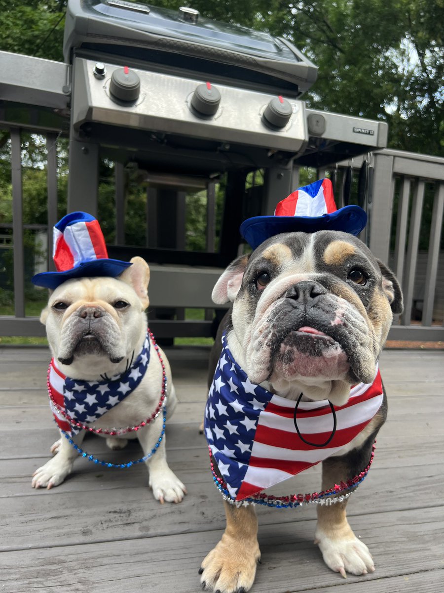 PawsonPine's tweet photo. Let’s get this BBQ on…. 🇺🇸🎉🍖Happy July 4th! #july4th #englishbulldog #frenchbulldog #happyjuly4th #dog #dogs #pet #pets #clt #704 #charlottenc https://t.co/Q0CLcAWKPY
