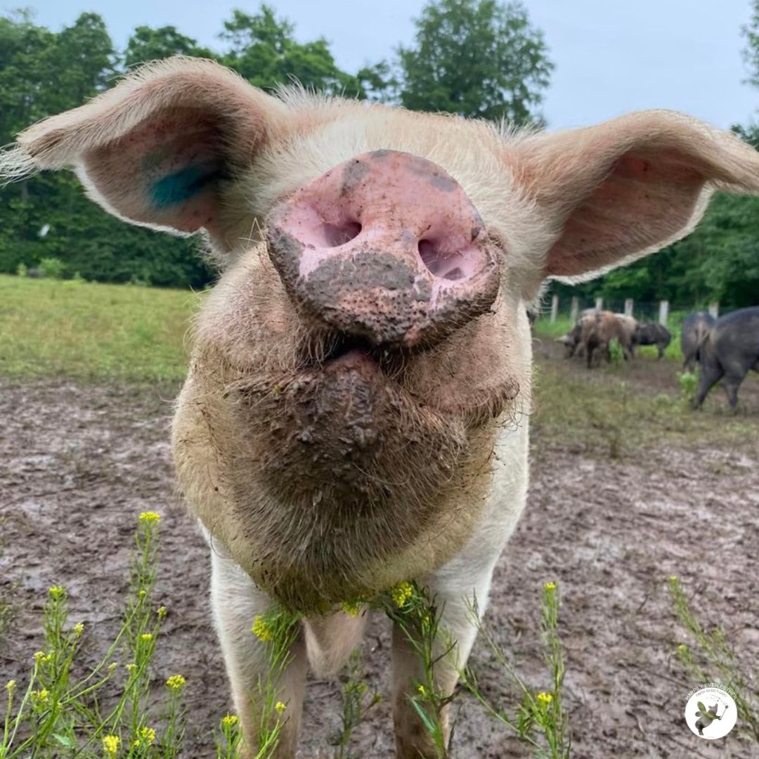 HEEFS_'s tweet photo. Good morning friends

#CaptainDan #riseandshine https://t.co/B2tIhAYrVa