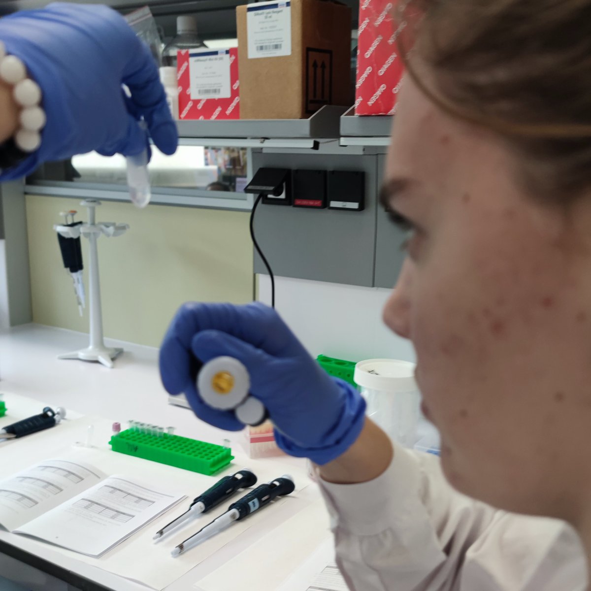CarrerasIJC's tweet photo. 🎉The @PedreraScience #BIYSC program has just started at the Acute Limfoblastic Leukemia lab!🔝

Today: #DNA extraction and quality control... the first steps for an amazing program on molecular diagnosis 💪
Follow us: we'll keep you updated! ✅