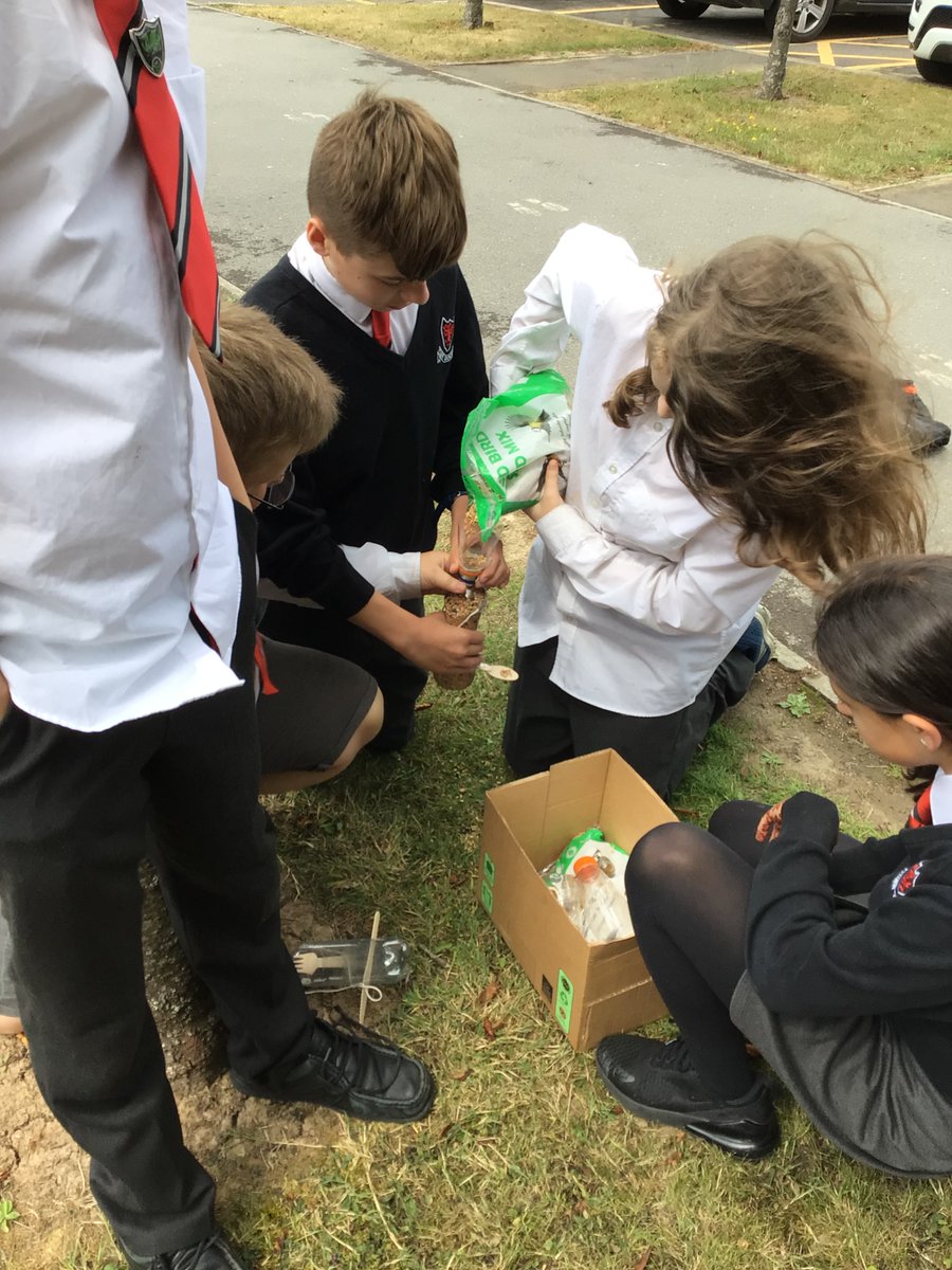 IsbwyllgorEco's tweet photo. Mae'r Clwb Eco wedi bod yn gweithio'n galed i ailgylchu poteli plastig er mwyn bwydo'r adar!  Our Eco Club have been working hard to recylce plastic bottles into bird feeders! 🐦📷📷 https://t.co/JGIm3v1qoS