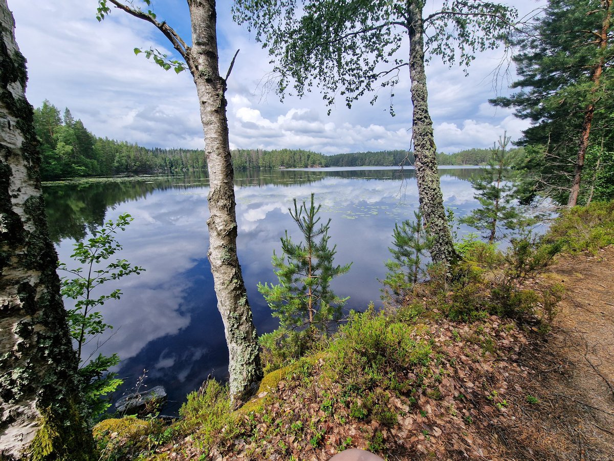 Nu trappar vi ner och njuter av sommaren. Kansliet stängs i slutet av veckan tills mitten av augusti. Styrelsen kan nås under sommaren, men räkna med längre svarstider. Vi önskar er alla en avkopplande sommar. 🌻