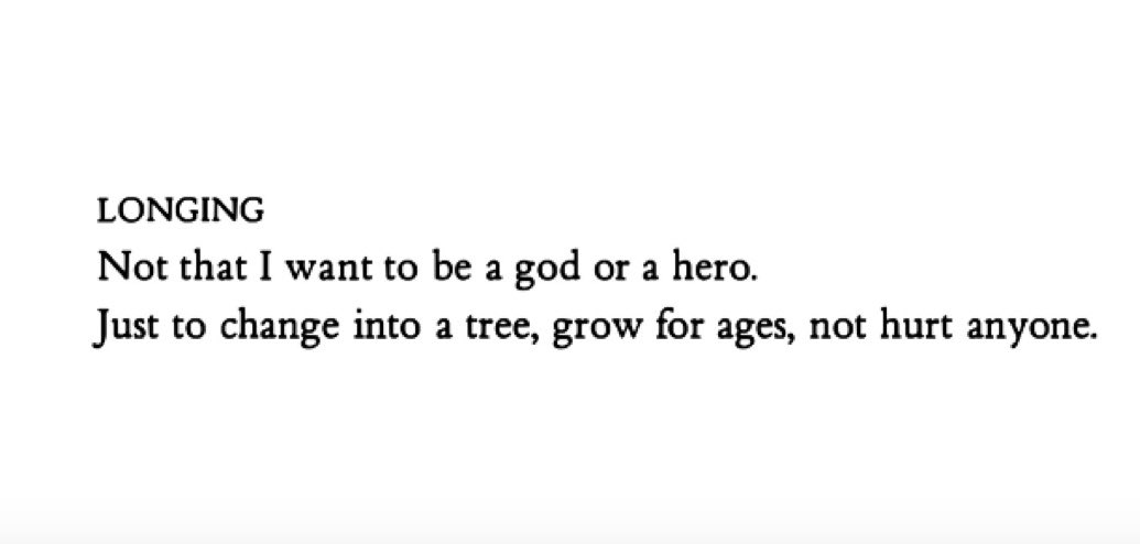 Dr. Maya C. Popa tweet media