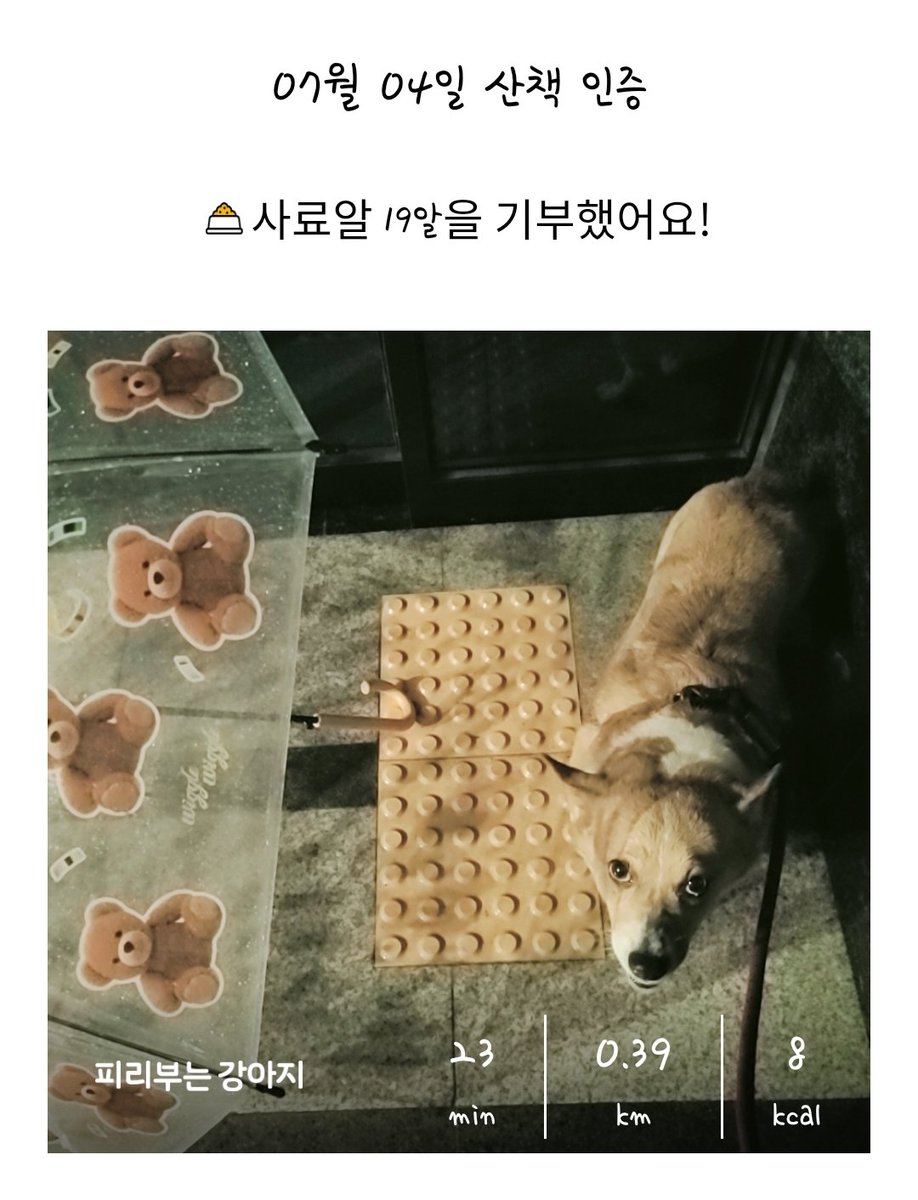 궁디씨 tweet media