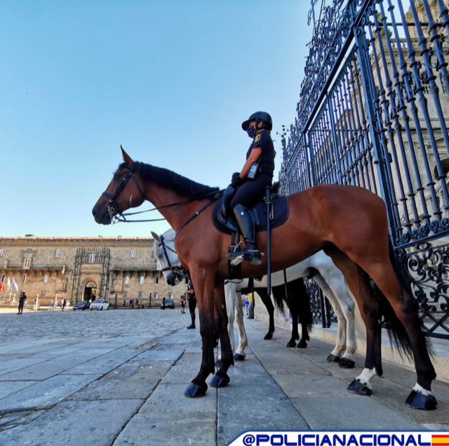policia's tweet photo. Hoy #miércoles patrullamos desde las alturas a lomos de nuestros agentes equinos 🐴

¡#FelizMiércolesATodos!

We💙animals https://t.co/1M6HrCpQbh