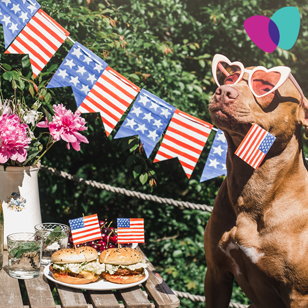 ASCPharm's tweet photo. Wishing all a safe and wonderful Independence Day! 

#ascpharm https://t.co/y3ENjMxKkI