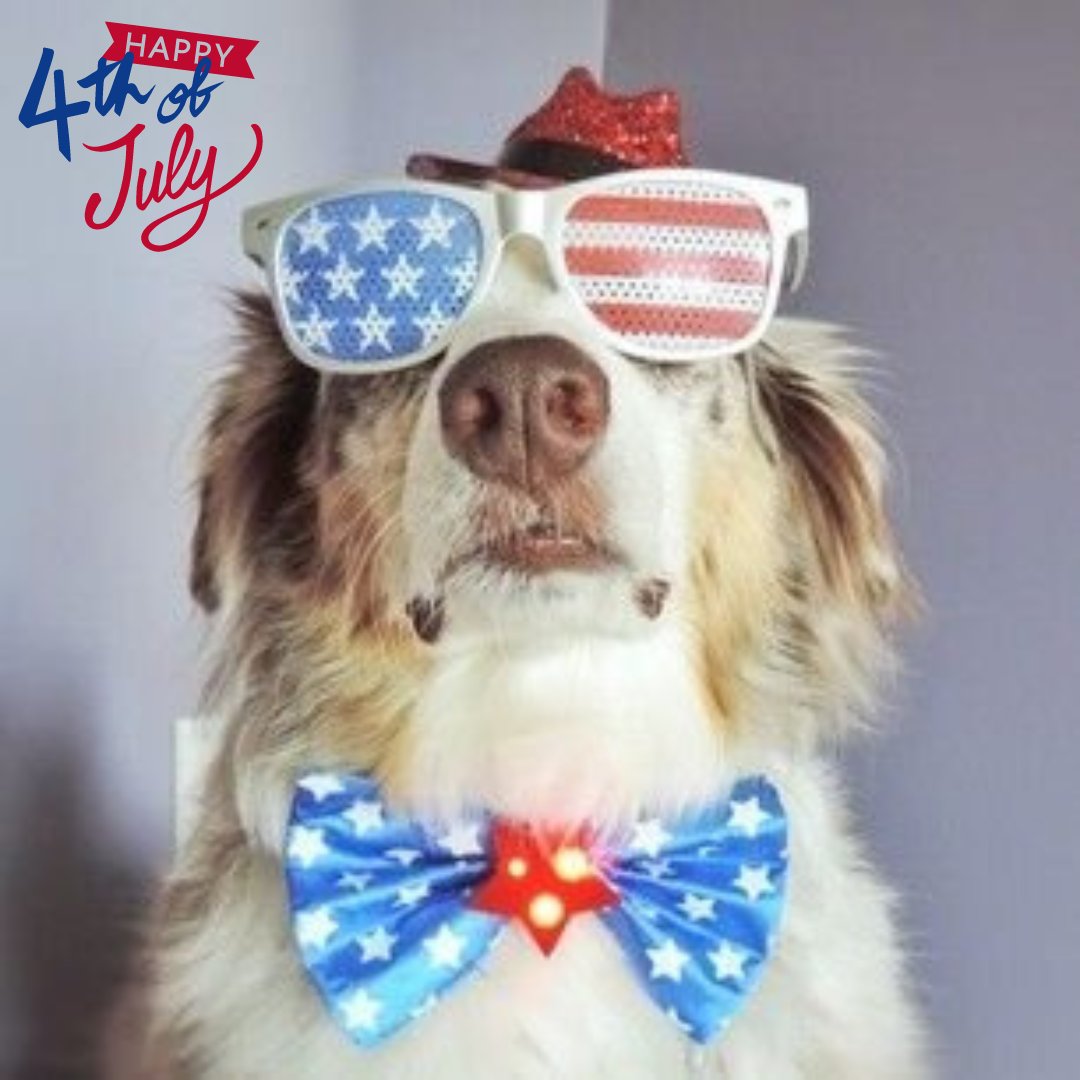 HAPPY FOURTH OF JULY ❤️🤍💙
Current mood... Sparkling 🎆 All locations are on Sunday hours today. Have a pawsome day! 🐾🐶 
#fourthofjuly #happyfourth