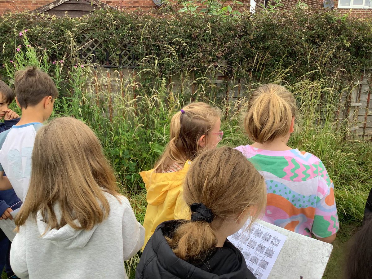 Another #NationalFieldworkFortnight update!

Year 3 have been locating different types of habitats in the school grounds. 

They used a map to label the different habitats and suggested ideas of how we could promote biodiversity on our site!