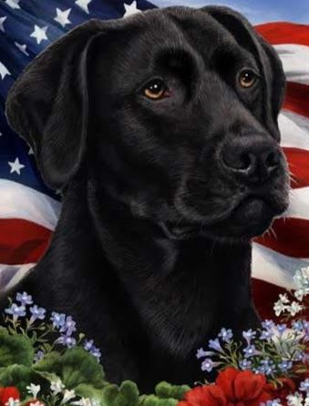 AquaDetection's tweet photo. It’s the 4th of July. A great day to celebrate the freedoms we enjoy in the United States, including the freedom to communicate with anyone you want. Happy 4th of July from your friends at Aqua-Terra K9 Water Leak Detection!
#K9Jubel #4thofjuly #july4th #happy #blacklab https://t.co/utn3x5sadq