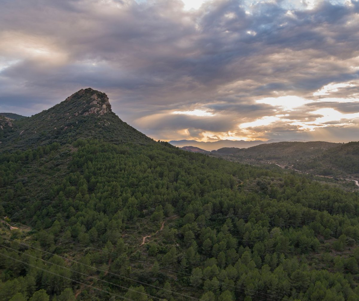 En <a href="/enerhi_/">EnerHi</a> 🍃 practicamos la escucha activa. Por eso, tras atender las peticiones de la ciudadanía de Vilafamés y Cabanes, nos comprometemos a modificar los proyectos presentados en estas localidades y a desarrollar dos propuestas nuevas teniendo en cuenta sus alegaciones.