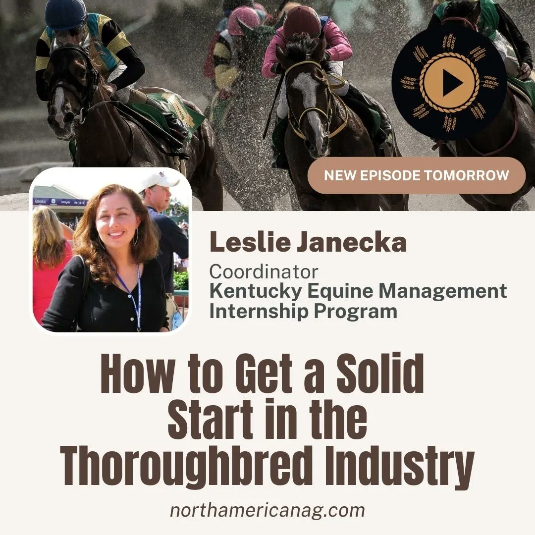 Tomorrow's #AgSpotlight episode lays out how youth can get a solid start in the thoroughbred industry through the @KYEquineIntern program. Leslie Janecka talks about the industry & program highlights. Find it on YouTube, Rumble, Apple, Spotify & Amazon! #thoroughbreds #jobsinag