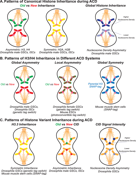 Portland Press tweet media