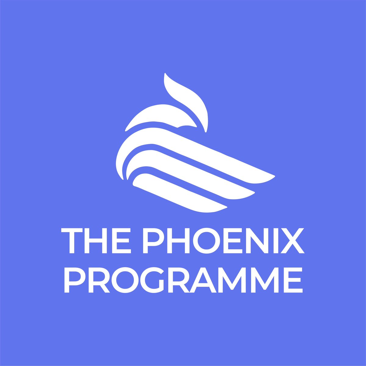 VR_Network's tweet photo. 📣 HOT OFF THE PRESS 📣

We’ve received funding from the Youth Endowment Fund @YouthEndowFund to invest in a new evidence informed multi-agency intervention ‘The Phoenix Programme’ - rolling out across LLR now! 

Read more about The Phoenix Programme ⬇️
https://t.co/e84OhR03jg https://t.co/B78PINzFDA