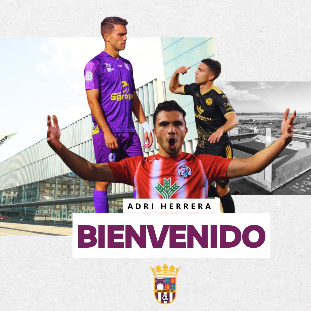Palencia Club de Fútbol tweet media