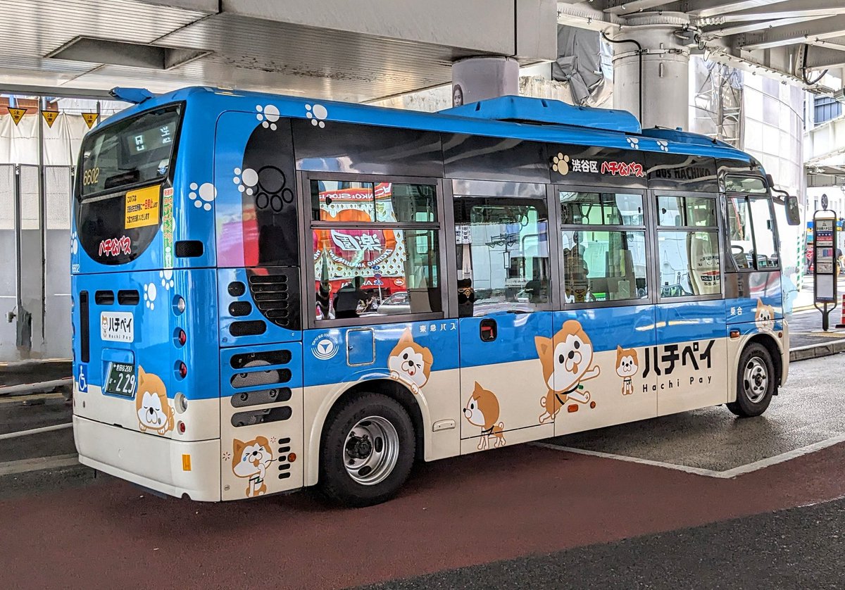 渋谷区(ハチペイ)[6602] #東急バス #ラッピングバス #渋谷区