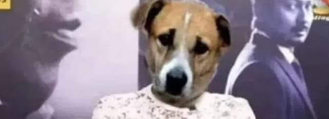 Saravanan4445's tweet photo. கறிய பூரா தின்னுட்டு வெறும் எலும்ப போட்றாங்க..

~ முதல்ல இந்த நிலை மாறனும் https://t.co/MkwVfCauNC