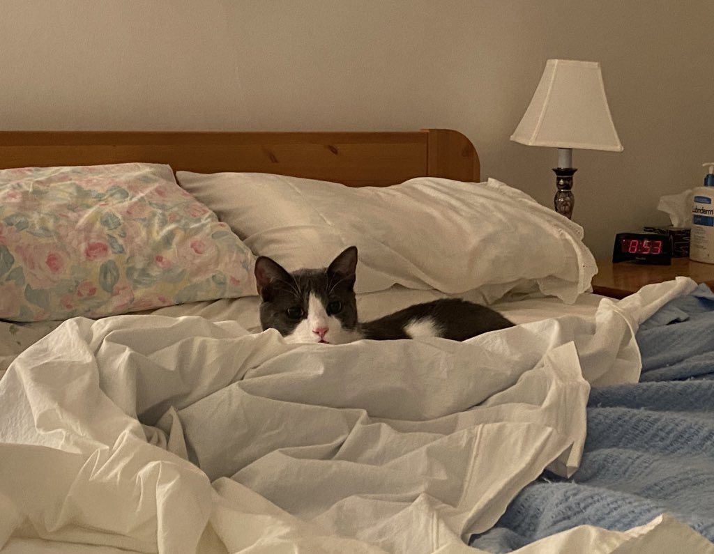 Judith R Davidson tweet media