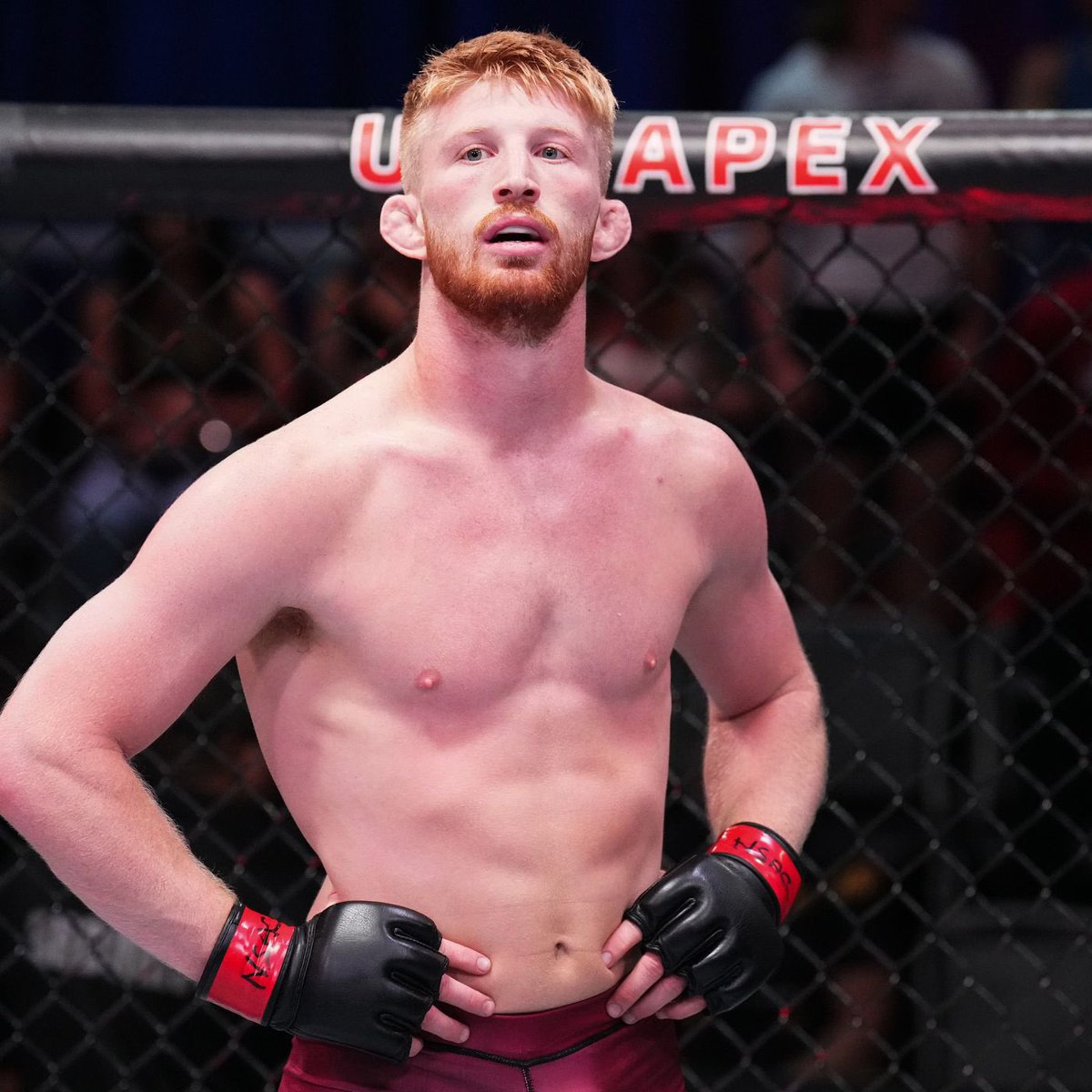 mma_orbit's tweet photo. 🚨| Bo Nickal is without an opponent this weekend.

Tresean Gore has withdrawn with an injury.

The UFC are trying to keep Nickal on the card and are actively searching for a new opponent.

[per @arielhelwani]

#UFC290 #UFC #MMA https://t.co/olM6tkiy7X