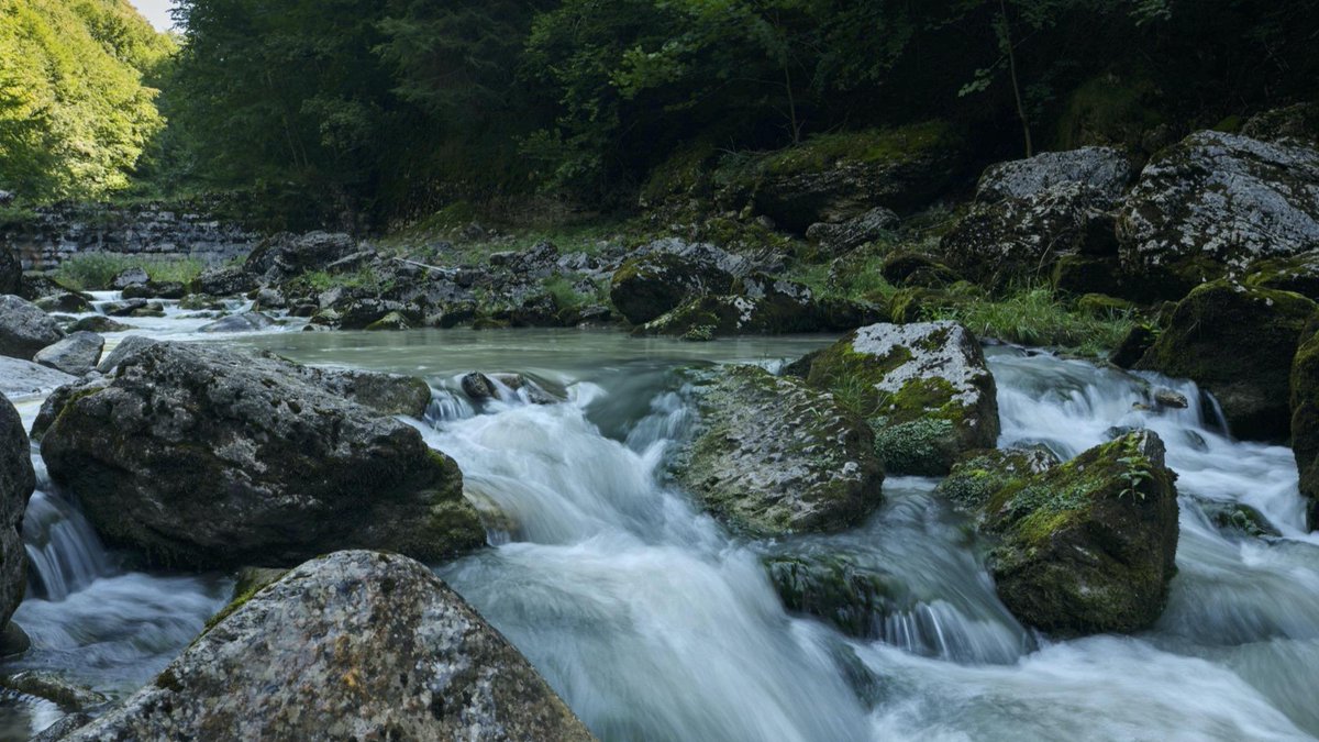 Der Schweiz-Experte tweet media