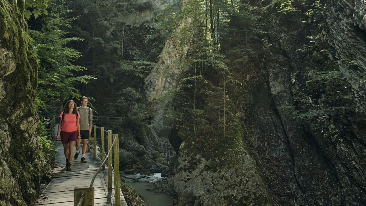 Der Schweiz-Experte tweet media