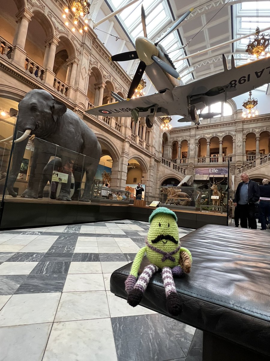 ALK 🇫🇷 tweet media