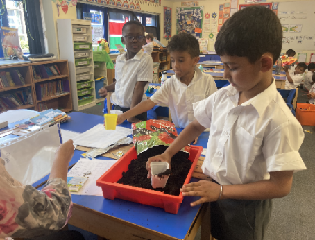 LoyolaPrepEssex's tweet image. PP1 boys (year 1) : “Our topic in Science is growing. We are learning the names for the different parts of the plant. Look at our sunflowers starting to sprout!” #sunflowerseverywhere #privateschool #privateeducation #catholicschool