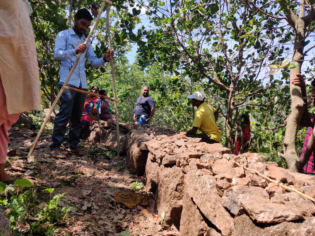 PwC_IN's tweet photo. 78% of land is unirrigated in the aspirational district of Gajapati. Here’s how we’re addressing this challenge with NGO Gram Vikas, the gram panchayats and women of the community to restore natural resources:  https://t.co/Dpht8wRbe8
#CommittedToIndia #TogetherWeSolve 
@jaivir_s https://t.co/bV8WRGHPnI