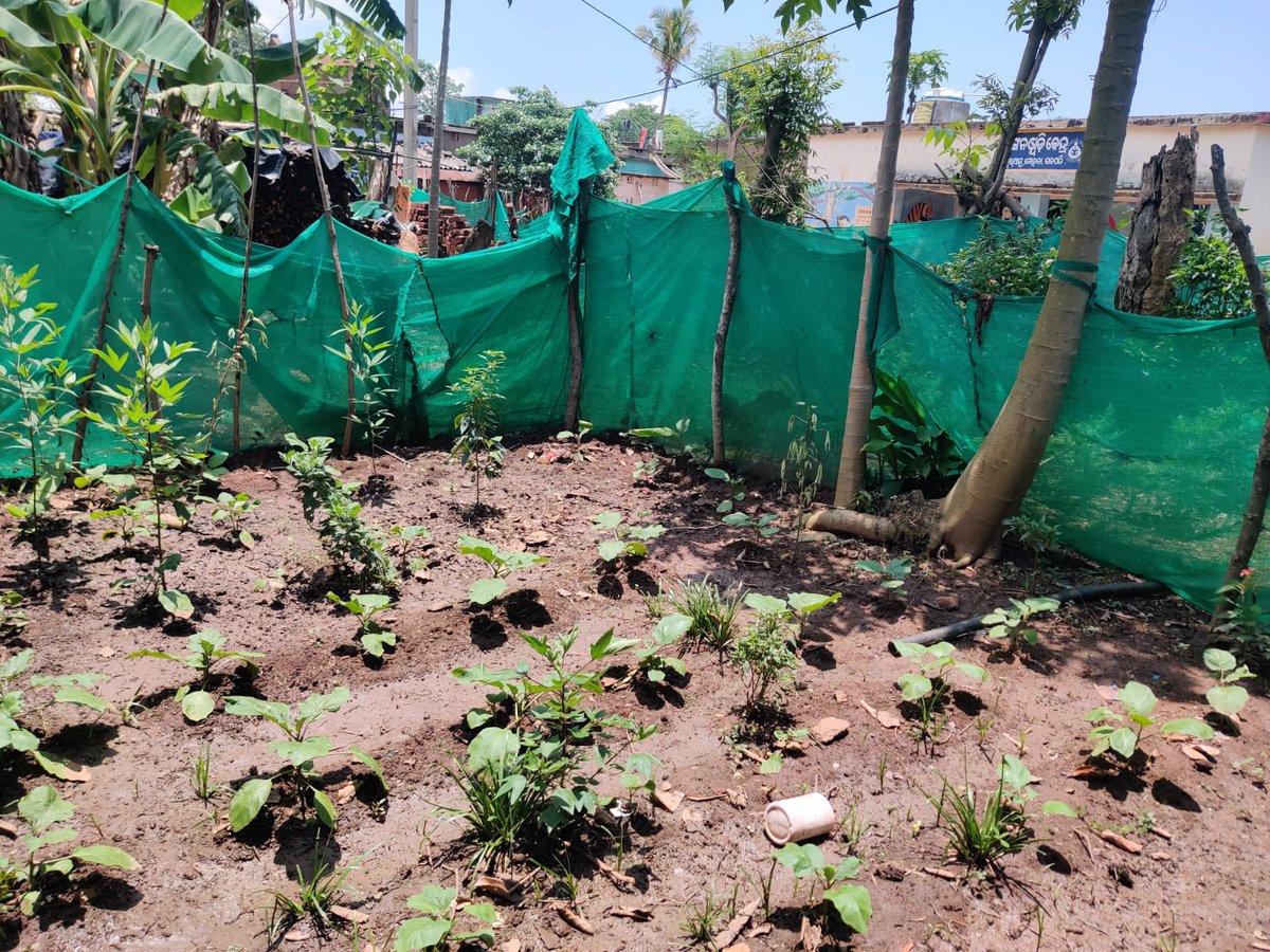 PwC_IN's tweet photo. 78% of land is unirrigated in the aspirational district of Gajapati. Here’s how we’re addressing this challenge with NGO Gram Vikas, the gram panchayats and women of the community to restore natural resources:  https://t.co/Dpht8wRbe8
#CommittedToIndia #TogetherWeSolve 
@jaivir_s https://t.co/bV8WRGHPnI