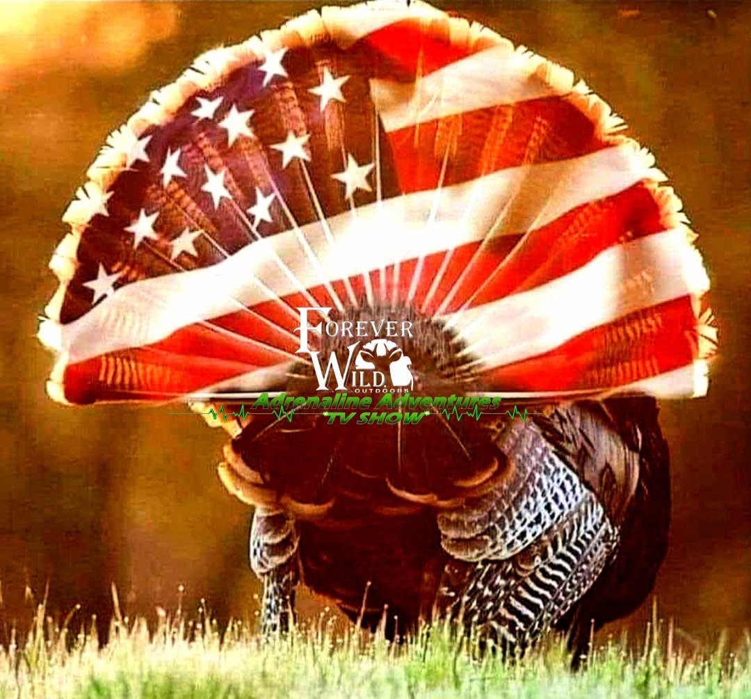 fwoaatv's tweet photo. HAPPY 4th of July to all!
this is our day of independence from tyranny. https://t.co/UPVcWGfCLp