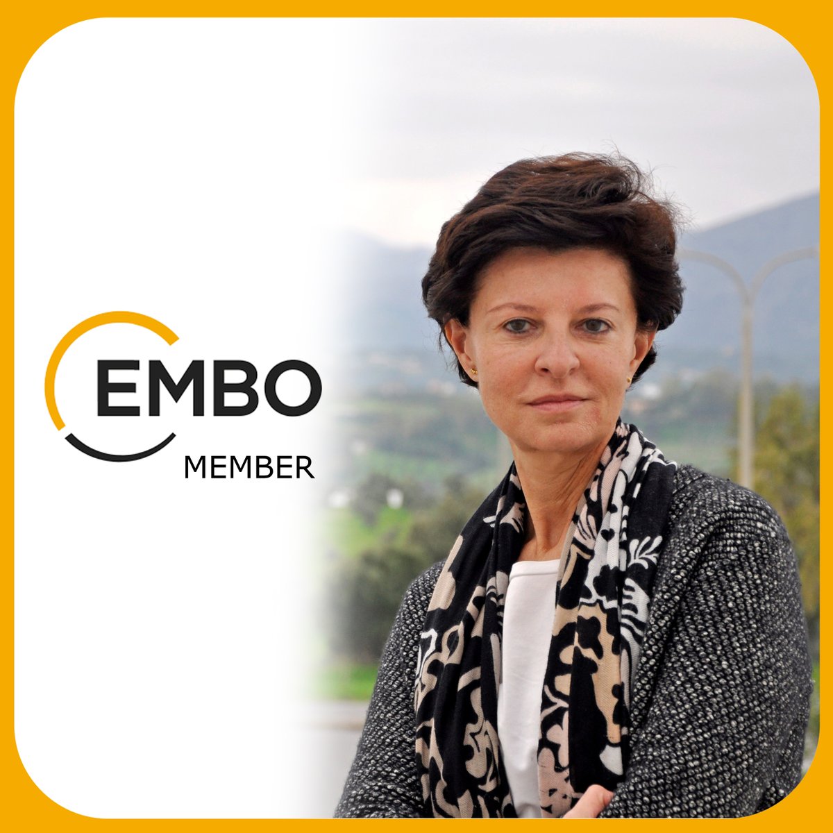 FORTH researcher, Prof. Electra Gizeli, new elected member of the European Organization for Molecular Biology (EMBO)
Η ερευνήτρια του ΙΤΕ καθ. Ηλέκτρα Γκιζελή εκλέγεται μέλος του Ευρωπαϊκού Οργανισμού Μοριακής Βιολογίας
forth.gr/el/news/show/&…
<a href="/EMBO/">EMBO</a> <a href="/ElectraGizeli/">Gizeli Biosensors Group</a> @IMBB_FORTH