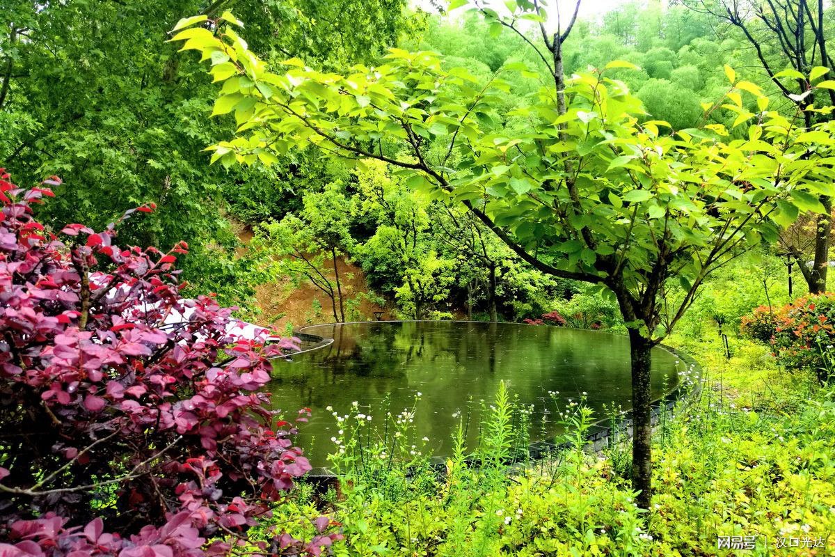 리니지M tweet media