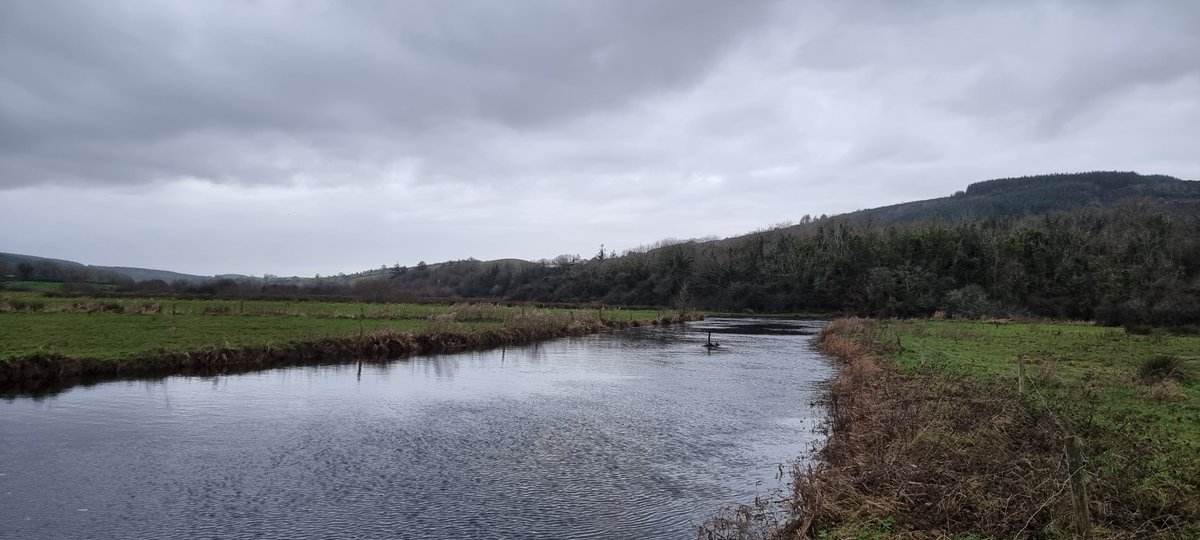 InlandFisherIE's tweet photo. π£ @InlandFisherIE is supporting the Ennis & District Anglers Association on a riparian restoration project on the River Fergus in #Clare.
β¬26,000 in works are being carried out on 5km of riverbank as part of @InlandFisherIE Habitats & Conservation Fund 2023.
#IFIConservation https://t.co/Gjl9Vajpbc