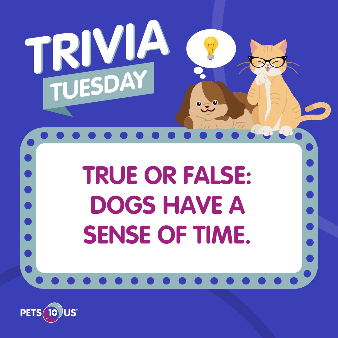 PetsPlusUsIns's tweet photo. #Win a $25 PetSmart gift card! To enter, answer the question, retweet this post and follow @PetsPlusUsIns by 11:59PM EST. Open to Canadian &amp; US residents (excluding QC). Ways to enter: https://t.co/Pcg2hGlTP6 https://t.co/Lb7jW7UMyx