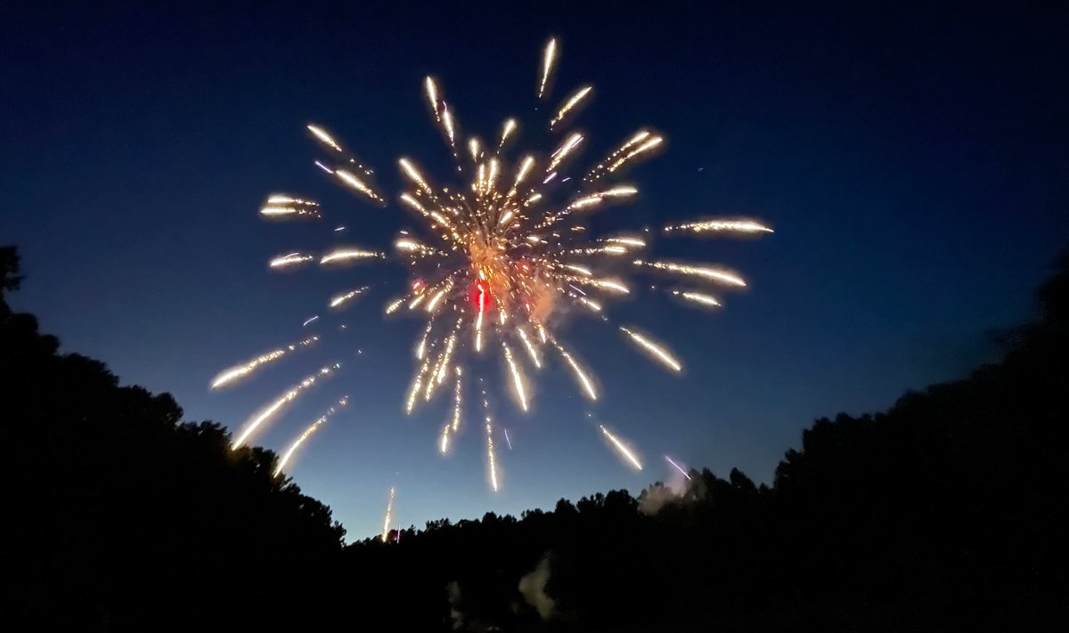 RiskCoop's tweet photo. Have a safe #July4🇺🇸  holiday! 
"True patriotism springs from a belief in the dignity of the individual, freedom and equality ...for all people on earth...and a constant and earnest striving toward the principles and ideals on which this country was founded." —Eleanor Roosevelt https://t.co/yDetYumCfr