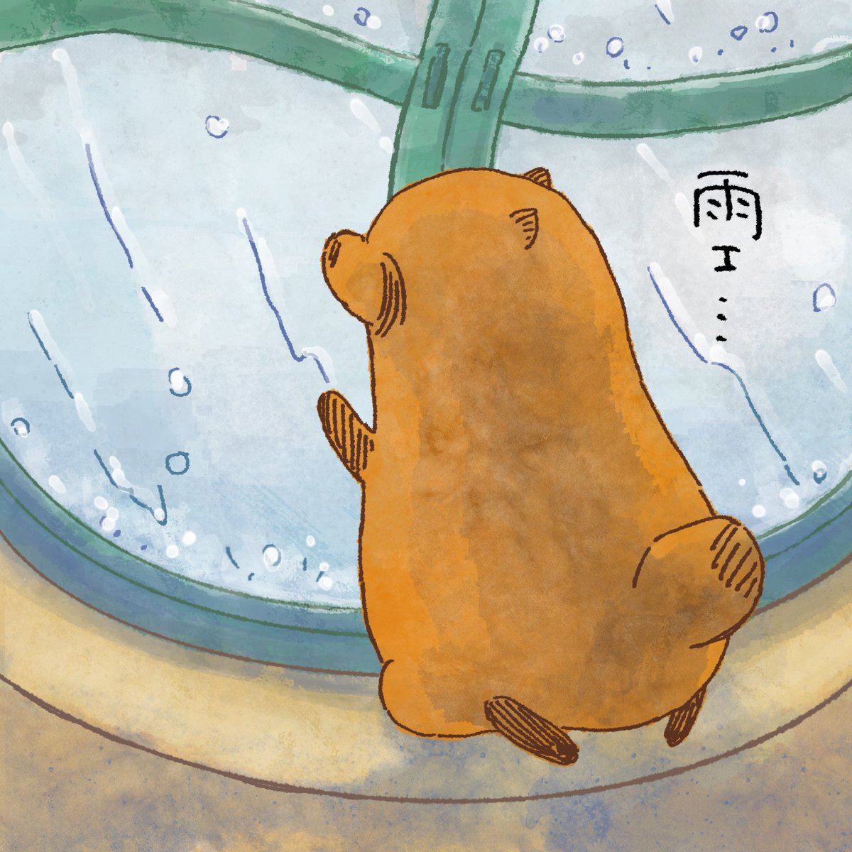 たぬきよ枠 51J8mD-co-L._UF350,350_QL50_.jpg