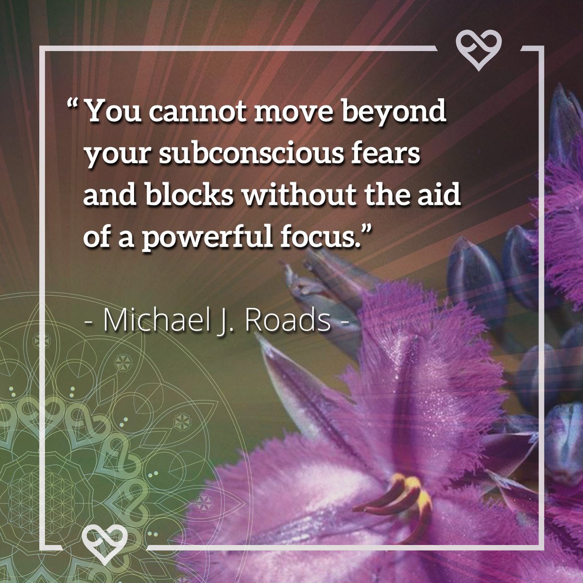 MichaelJRoads's tweet photo. "You cannot move beyond your subconscious fears and blocks without the aid of a powerful focus."

#consciousness #enlightenment #spirituality #spiritualquotes #spiritualenlightenment #spiritualformation #spiritualrevolution #spiritualfamily #spiritualteacher #spiritualthoughts https://t.co/KAqMX09eXS