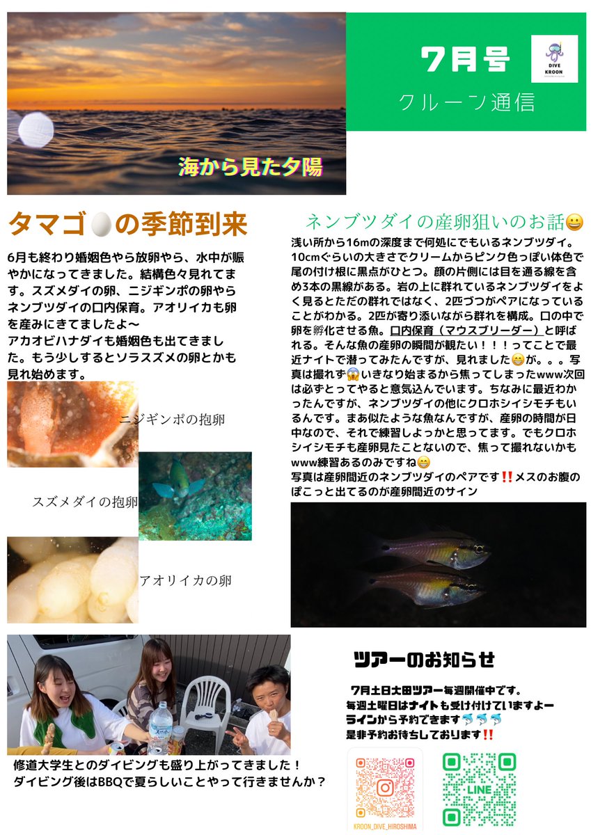 dive_kroon's tweet image. 