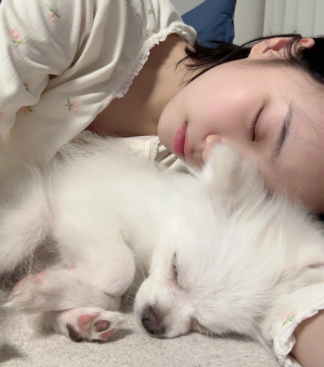 LSRFM_GLOBAL's tweet photo. [🌟💌 —#KIMCHAEWON] 230704

“FEARNOT~ I have something to say
Actually, I have a new family☺️
My younger brother's name is Kim Shiro
Shiro came to my house and I feel like my house is full of happiness 💕”

(1/2)

#LE_SSERAFIM #르세라핌
#김채원 #KIMCHAEWON https://t.co/ZcVxPlUH7u