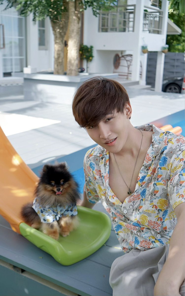 newsinfinity1's tweet photo. พี่มี่กับน้องบราวน์นี่ ถ่ายแบบคู่ ใส่เสื้อฮาวายเหมือนกันด้วย พี่มี่ขี้ร้อนบราวน์นี่เลยติดกระดุมทุกเม็ดแทนพี่มีเองฮับ 🐶🐻#OhmThitiwat https://t.co/lr7xCaNDZ6