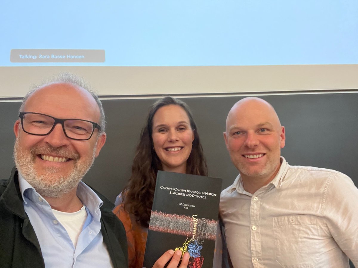 DANDRITE tweet media