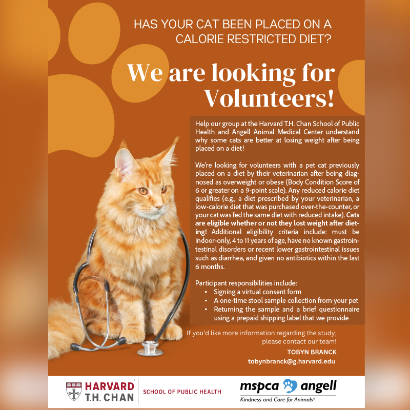 SEND YOUR CAT TO HARVARD (OR AT LEAST HIS POOP!) ➡️ link.chtbl.com/cattoharvard

Curtis Huttenhower is a Harvard professor and co-director of the Harvard Chan Microbiome in Public Health Center, who talks about their study of a cat’s gut biome and how that influences obesity.