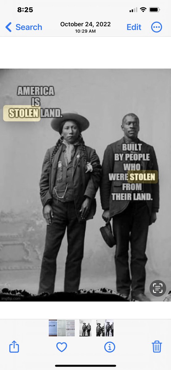 briandarling26's tweet image. This is it. This is today’s tweet. @JoyAnnReid #thisisamerica @LakotaMan1