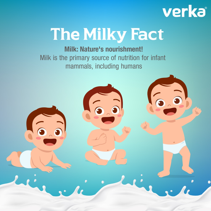 Verka_Coop's tweet photo. #MilkTrivia: Produced by mammary glands, it's the perfect food for infants. Breast milk is best early on, supporting their growing digestive systems.
As they grow, dairy milk can be introduced as the power of milk for healthy beginnings! https://t.co/GbGyfbZYsW