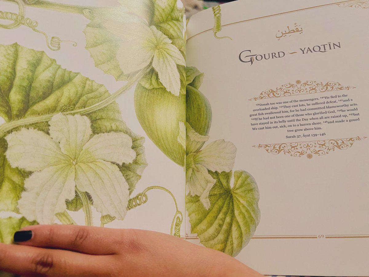 Yasm1nK's tweet photo. Such a stunning book. Beautiful illustrations and really interesting detail. #PlantsoftheQuran https://t.co/96130ZKK8r