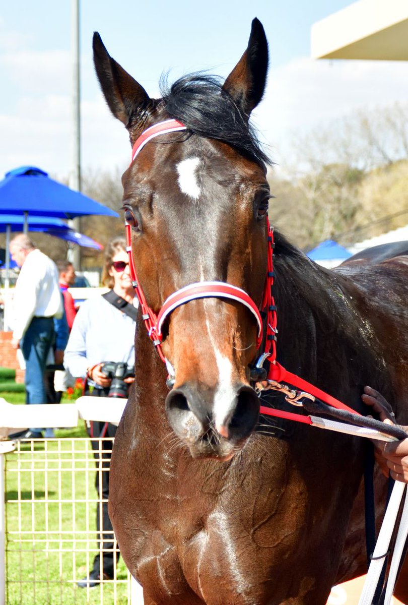 🏇 #TURFFONTEIN 4 JULY - RACE 2 🏇

Winner: DUENNA (Fire Away - Public Protector)
Owner: Wilgerbosdrift (Pty) Ltd 
Breeder: Wilgerbosdrift &amp; Mauritzfontein
Trainer: Stuart Pettigrew
Jockey: Gavin Lerena 

#TAB4racing #4racing #theoriginaltote #horseracing #homeofhorseracing
