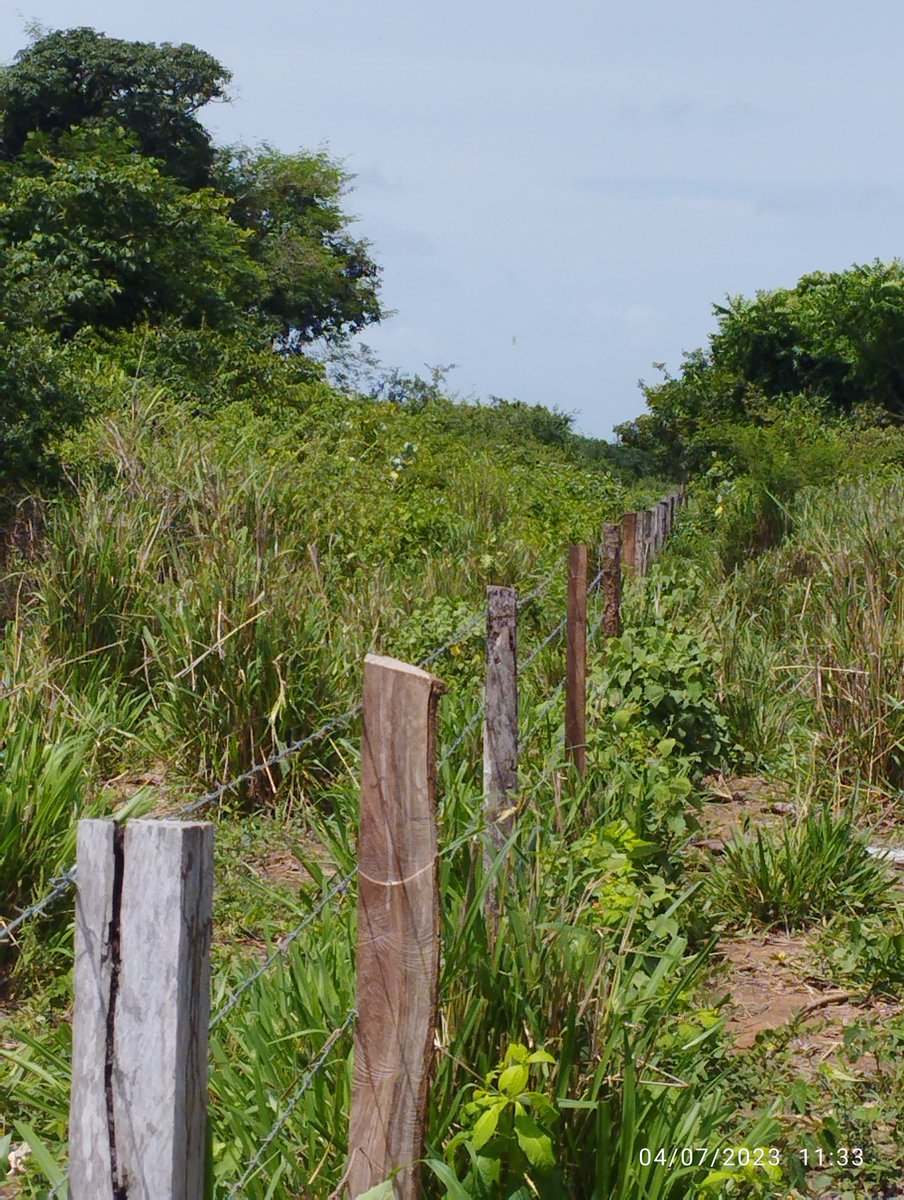 X⛏️⛏️⛏️⛏️⛏️⛏️⛏️⛏️⛏️⛏️🏡🚕🚕👍